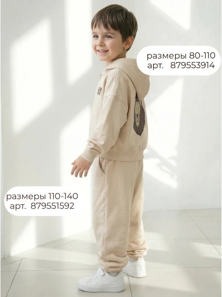 Спортивный костюм для мальчика с худи