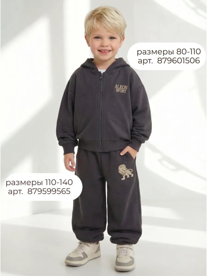 Спортивный костюм для мальчика с худи